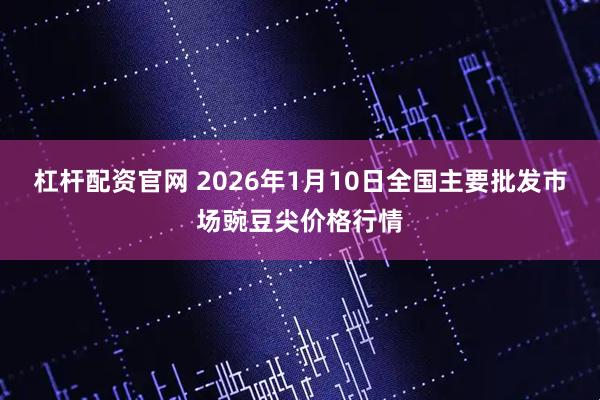 杠杆配资官网 2026年1月10日全国主要批发市场豌豆尖价格行情