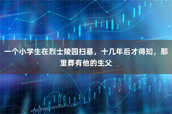 一个小学生在烈士陵园扫墓，十几年后才得知，那里葬有他的生父